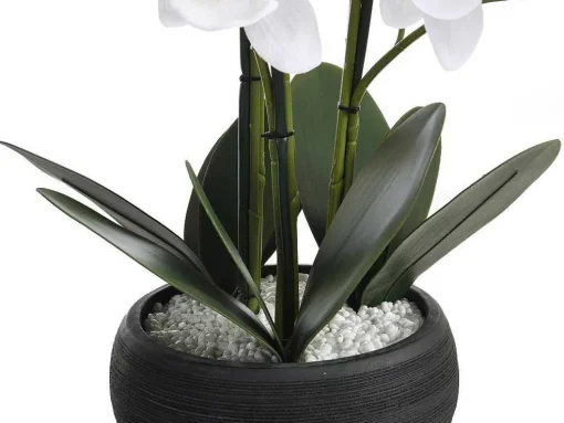Kunstorchidee Met Pot Van Cement - H65 X B54 Cm - Wit - Tara