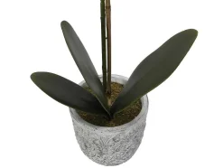 Kunstorchidee Met Pot Van Cement - H60 - Wit - Flora