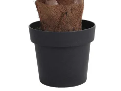 Kunstpalm Met Pot - H180 - Matera