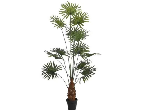 Kunstpalm Met Pot - H180 - Matera