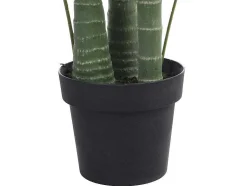 Kunstpalmboom Met Pot - H190 - Coconut