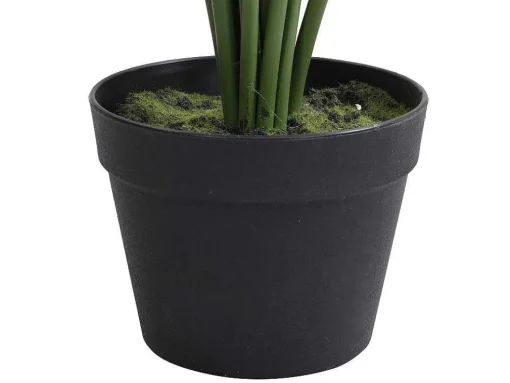 Kunstpalmboom Met Pot - H160 - Palmita
