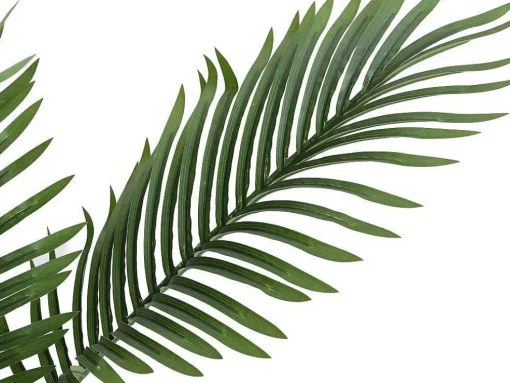 Kunstpalmboom Met Pot - H160 - Palmita