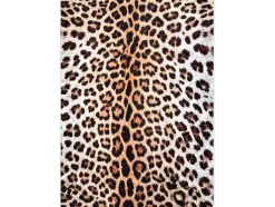 Miro 51568.804 Tapijt Wasbaar Luipaardpatroon Antislip - Creme / Bruin 120X170 Cm