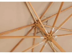 Naxos Parasol Bruin.