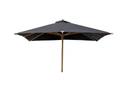 Naxos Parasol Zwart, Natuur.