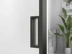 [Old Version]Schuifdeur Linci - H205Cm X L83Cm - Gehard Glas