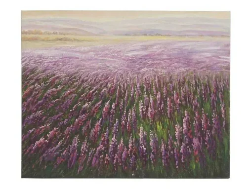 Olieverfschilderij Bloemenveld Handgeschilderd