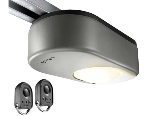 Sectionale Garagedeur Met Somfy Motor Met Centrale Antraciet Loopdeur - Caopas