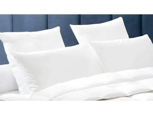 Set 2 Hoofdkussens Dodo Natuurlijke Dons Baffin - 65X65 Cm