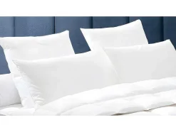 Set Dodo Dekbed Natuurlijk 240 X 260 Cm + 2 Hoofdkussens Dons Baffin 65 X 65 Cm