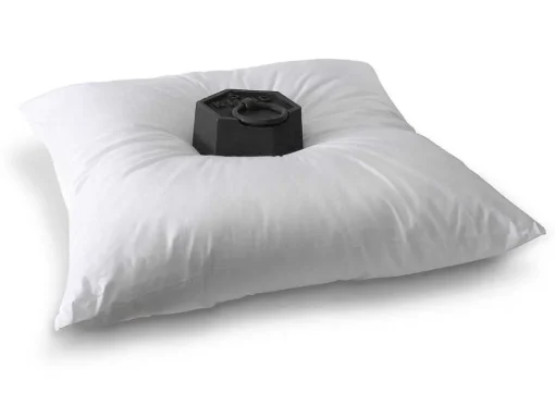 Set Van 2 Hoofdkussens 60 X 60 Cm Van Dreamea - 600 Gr - Marin