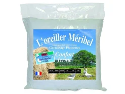 Set Van 2 Stevige Natuurlijke Hoofdkussens Dodo Met Dons - 60 X 60 Cm - Meribel