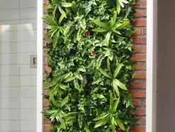 Synthetische Groene Begroeide Muur - Pakket Van 3M - Ikaz