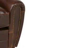Tweezits Clubbank Van Leer Met Lived-In Aspect Baudoin - Bruin