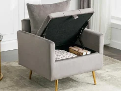 Vipi Fauteuil In Fluwelen Stof Met Opbergruimte En Kussen - Poten Van Goudkleurig Metaal - Grijs