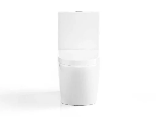 Witte Wc Om Te Plaatsen Van Keramiek - Nagilam