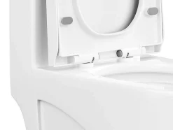 Witte Wc Om Te Plaatsen Van Keramiek - Nagilam
