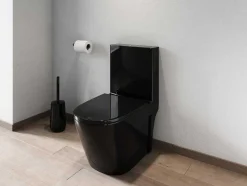 Zwarte Glanzende Wc Om Te Plaatsen Van Keramiek - Nagilam