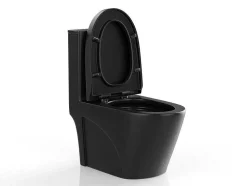 Zwarte Matte Wc Om Te Plaatsen Van Keramiek - Nagilam