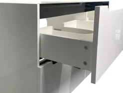 Zwevend Wastafelmeubel Met Dubbel Inbouwbekken En Kast - Wit - 120 Cm - Selita